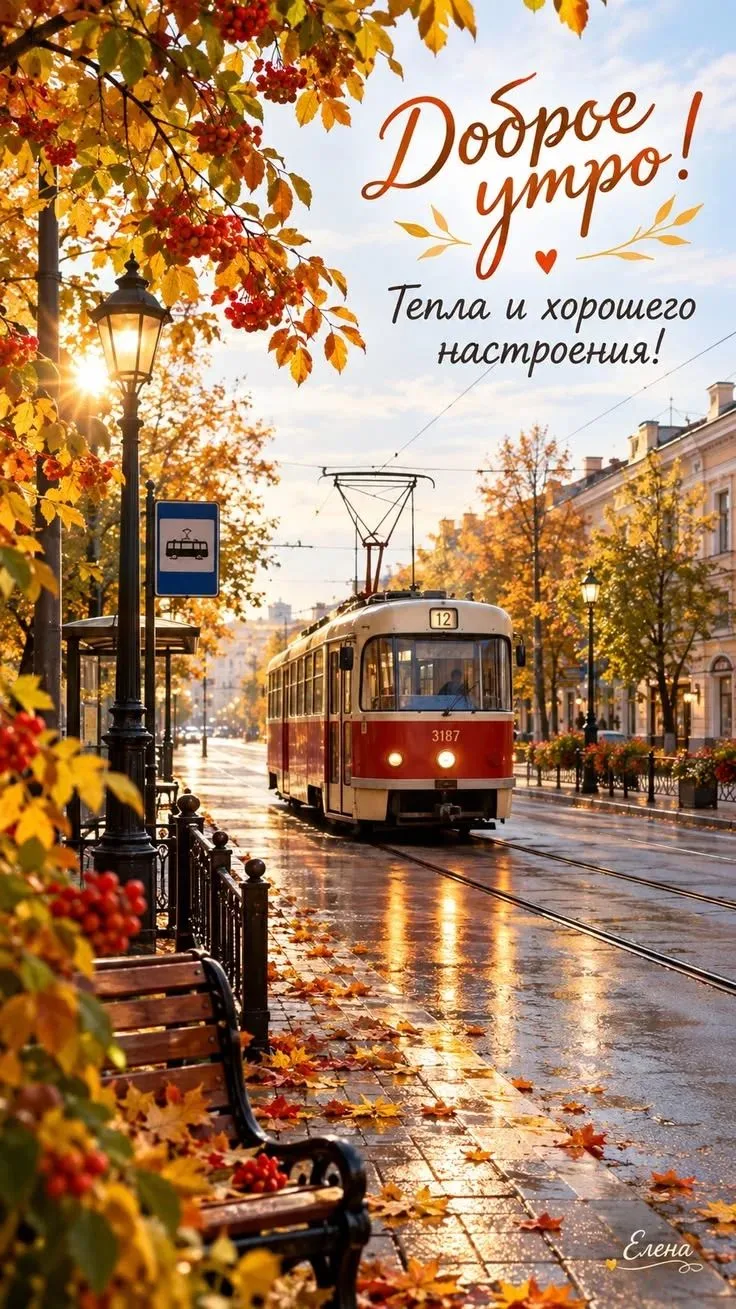 🌅 Доброе утро, Кубань!