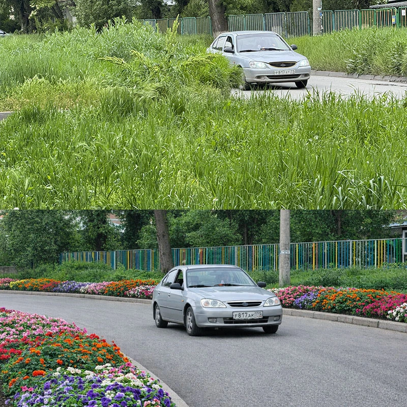 🌳 Пять миллионов на два года: столько «Благоустройство» готово потратить на озеленение...