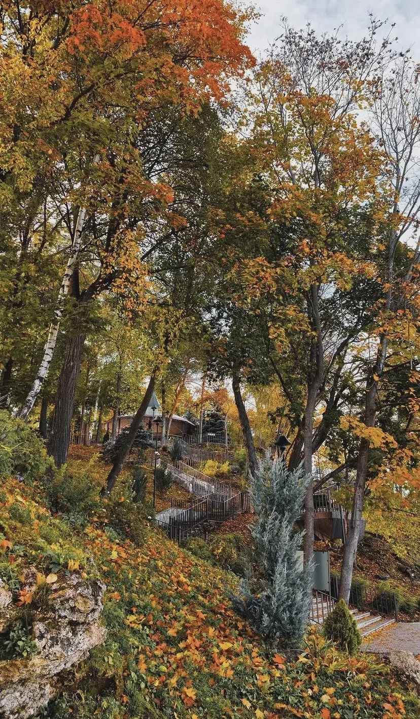 Осень радует красотой 🍂