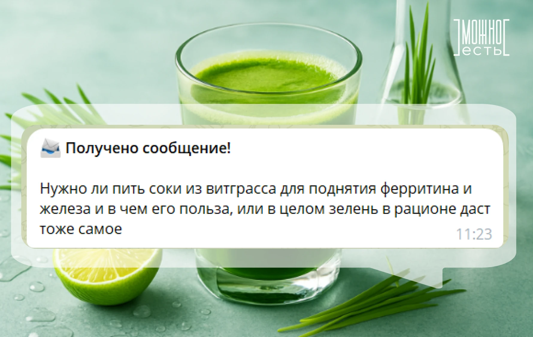 🌱 Витграсс для повышения ферритина: работает или нет?