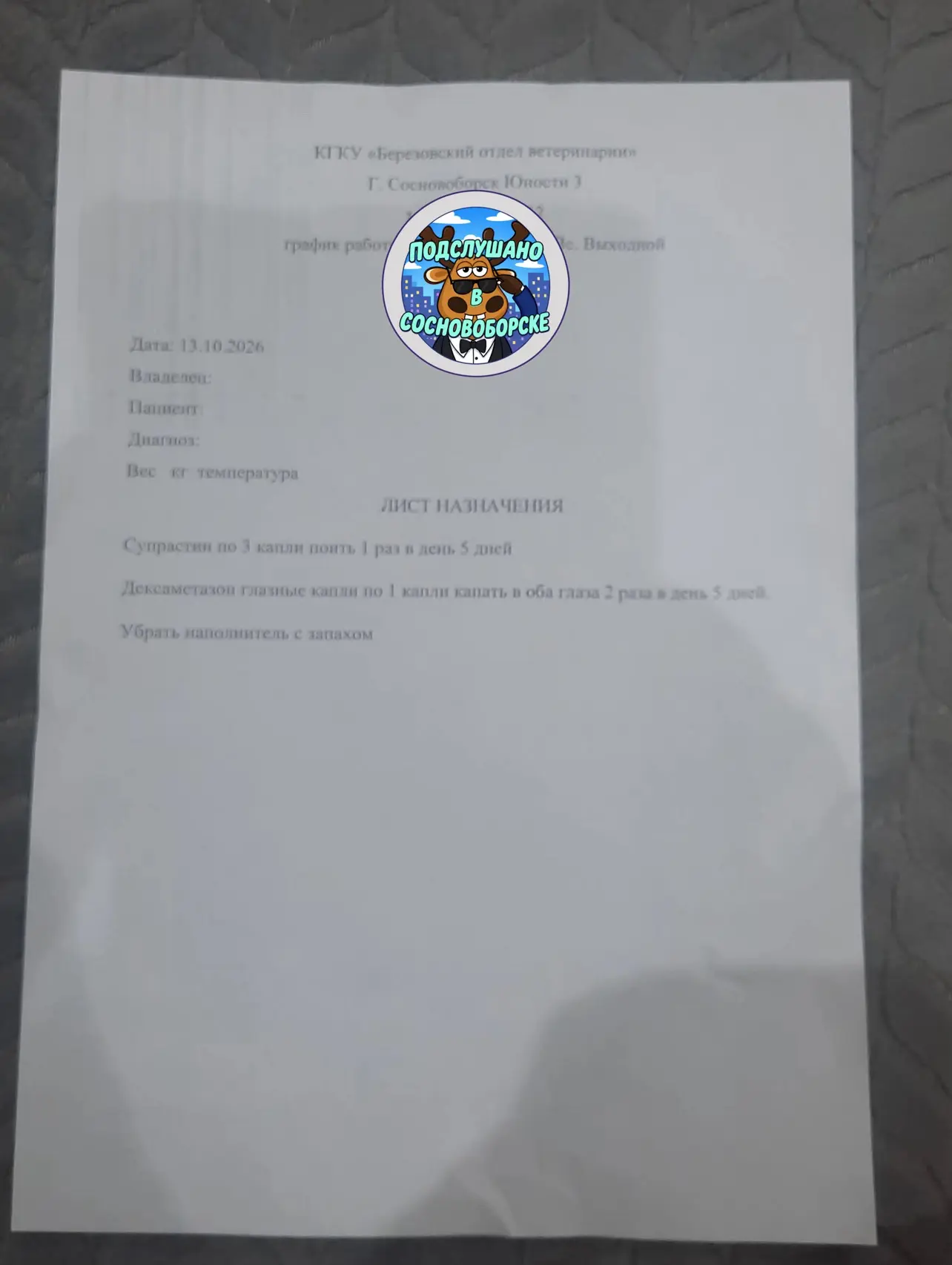 ⚡️13.10 обратилась в ветлечебницу по юности д3, у кошечки что то с глазами случилось,  ...