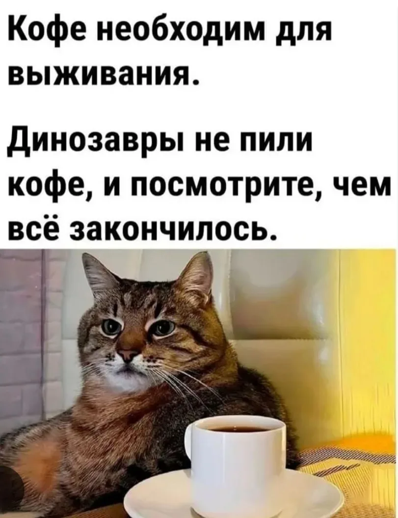 Вкусного утра, друзья!