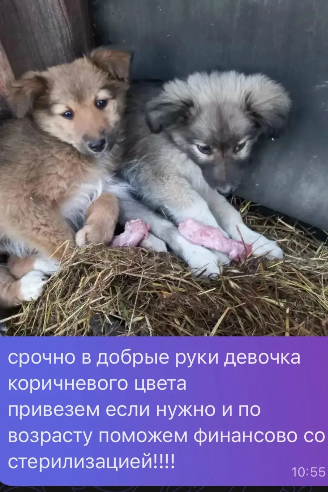 От подписчика