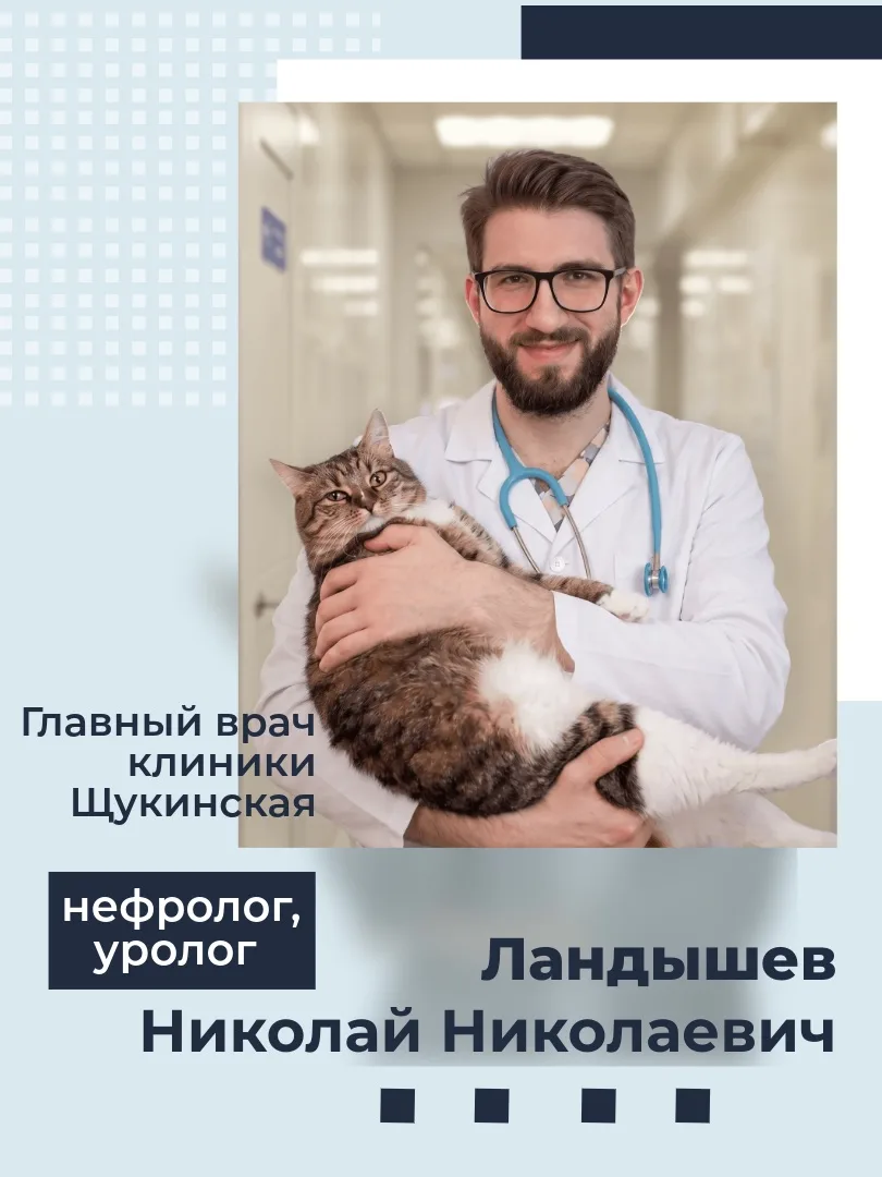 ЛАНДЫШЕВ НИКОЛАЙ НИКОЛАЕВИЧ