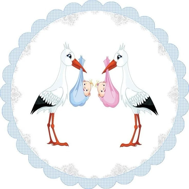 🍼 241 малыш родился в Карелии в сентябре!