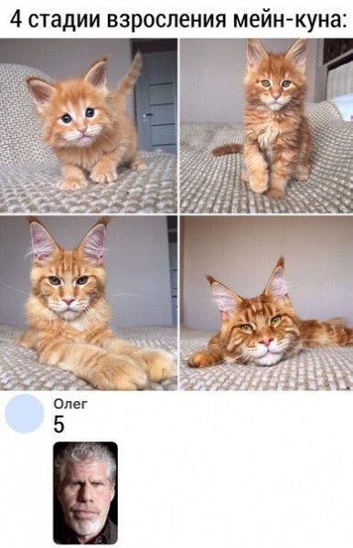 Фото