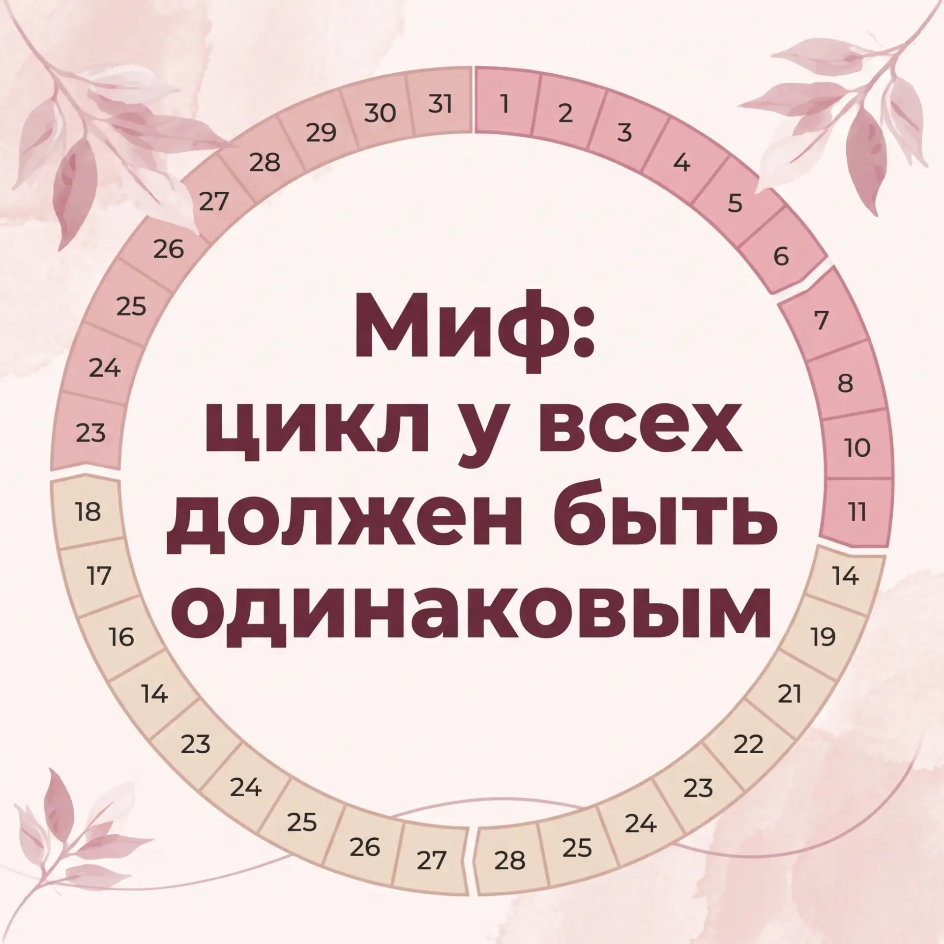 🔎 Миф: цикл у всех должен быть одинаковым