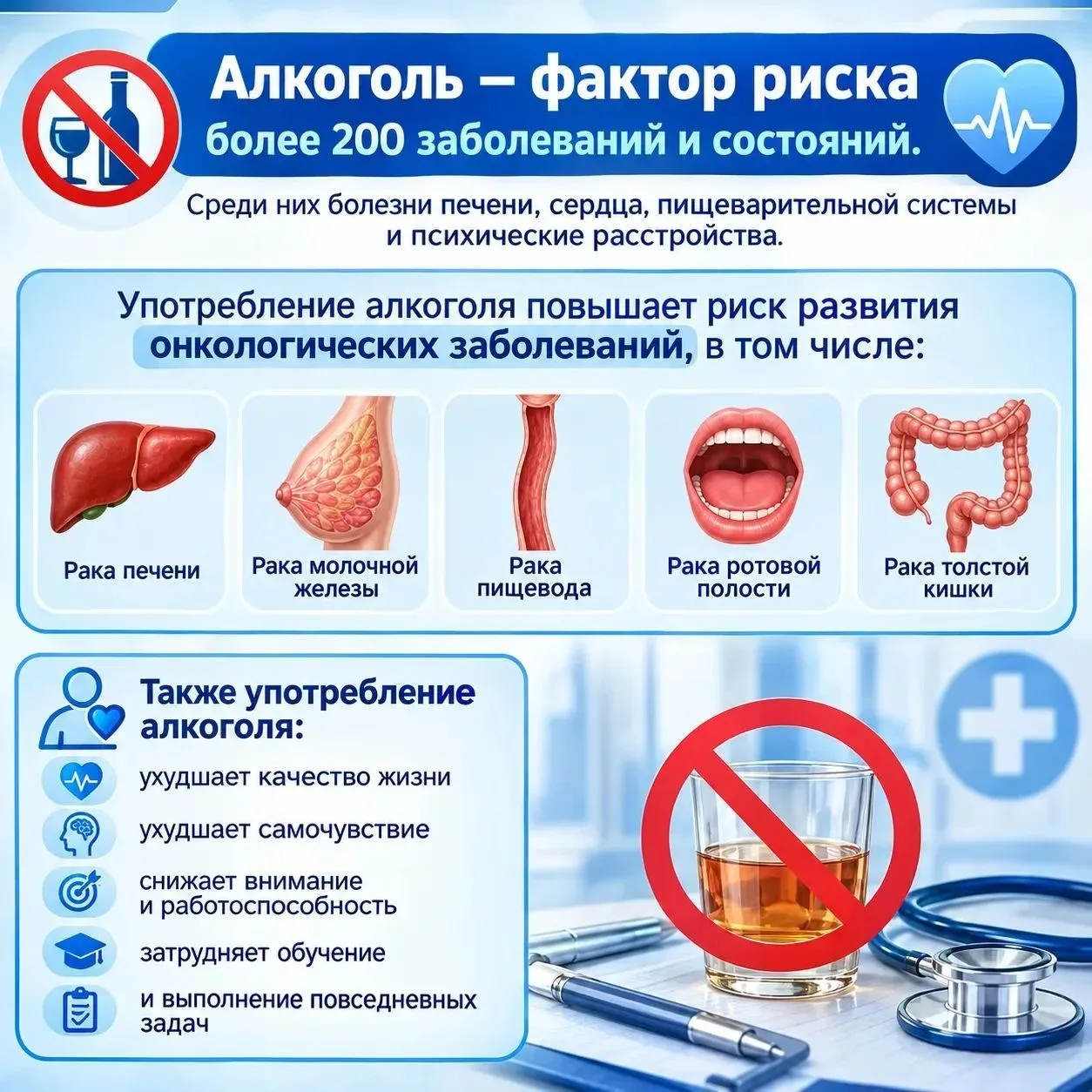Миф о «безопасной дозе»: что алкоголь делает с организмом на самом деле 🧬
