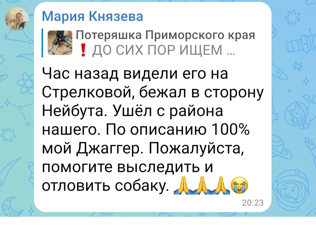 ⚠️⚠️⚠️ ВНИМАНИЕ!