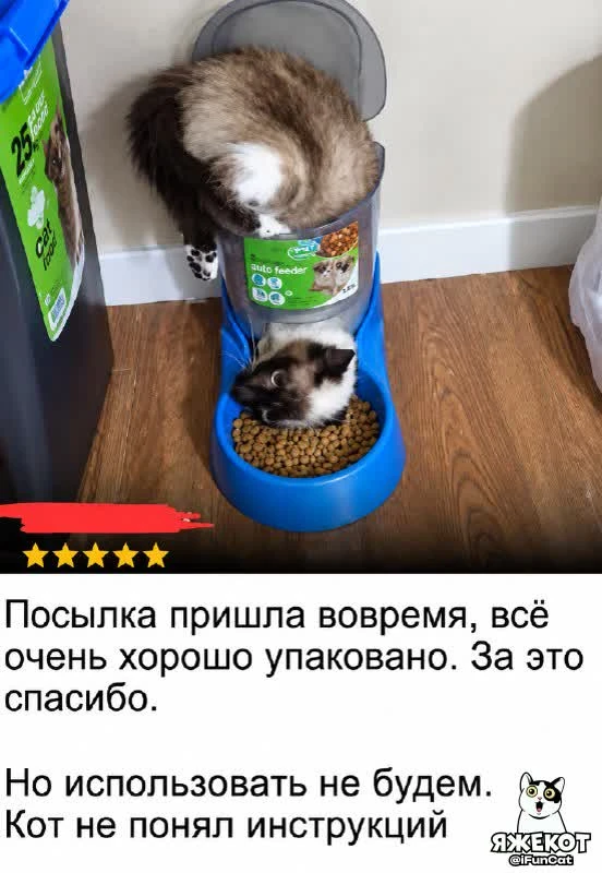 🐾 ЯЖЕКОТ