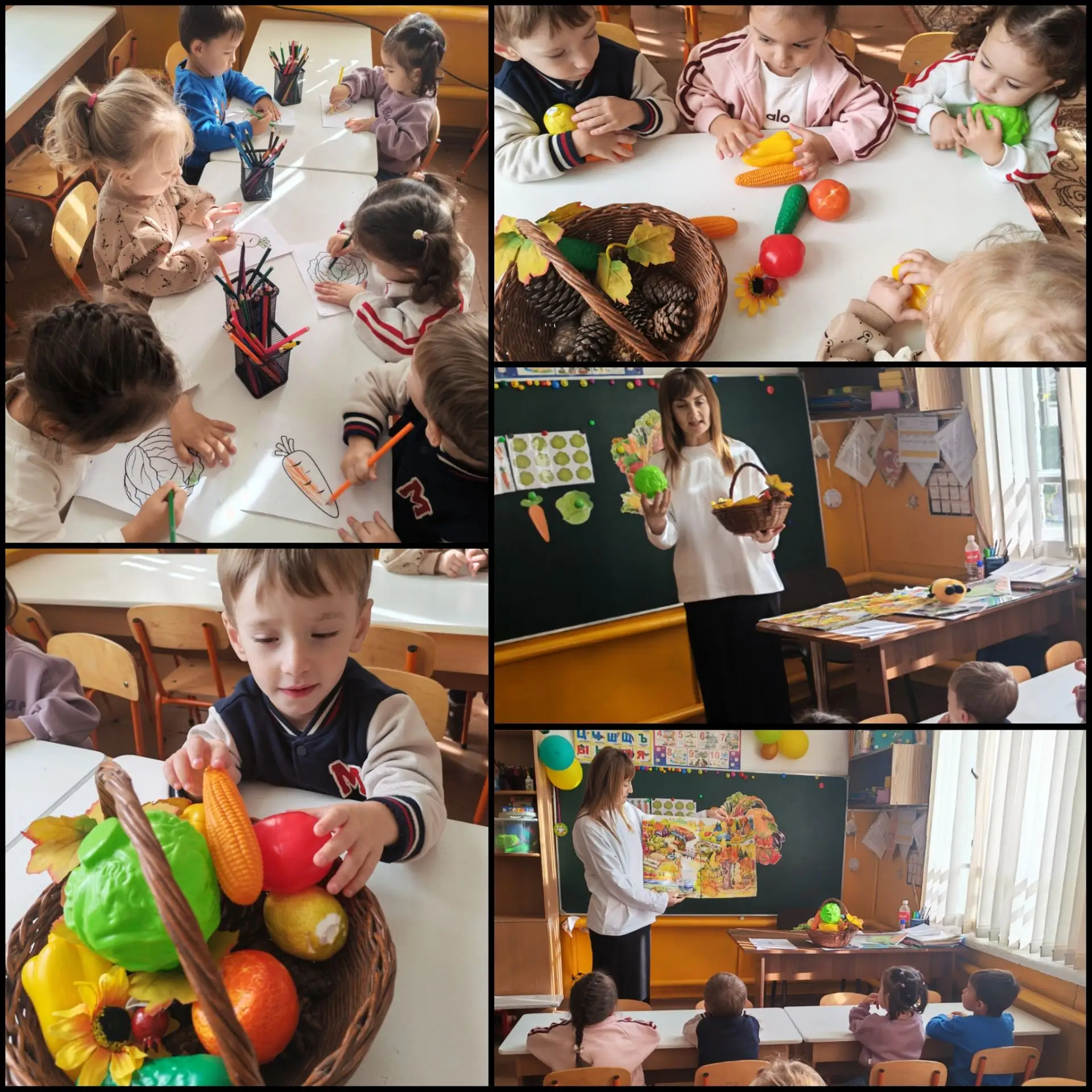 НОД:Ознакомление с окружающим миром