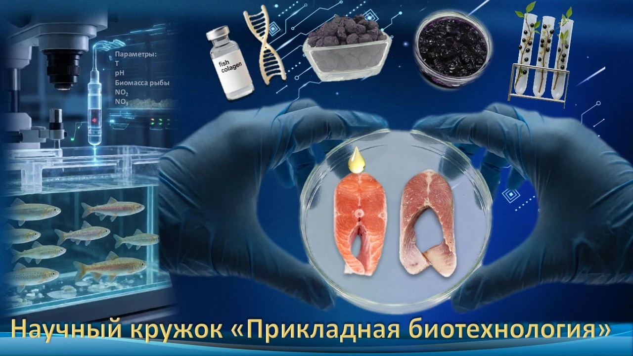 Хотите попробовать себя в науке? В ЧГУ набирают участников в кружок «Прикладная биотехн...