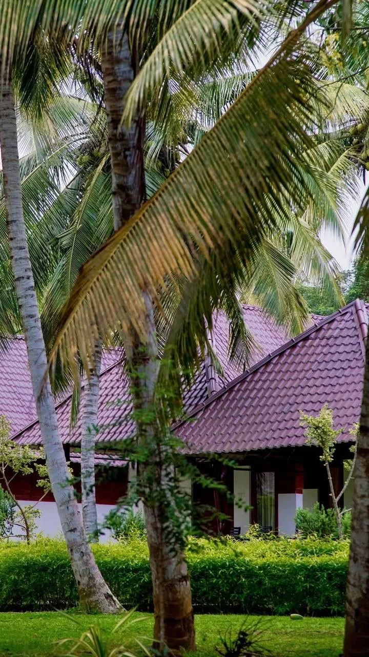 🌴 ДАВНО МЕЧТАЛИ ПОЖИТЬ В ДЖУНГЛЯХ? А ЕСЛИ ЕЩЁ И У ОКЕАНА… 🌊🇱🇰