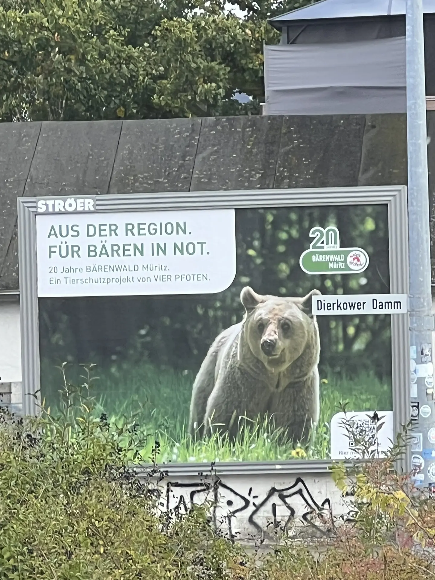 🇩🇪 Тем временем в Ростоке…