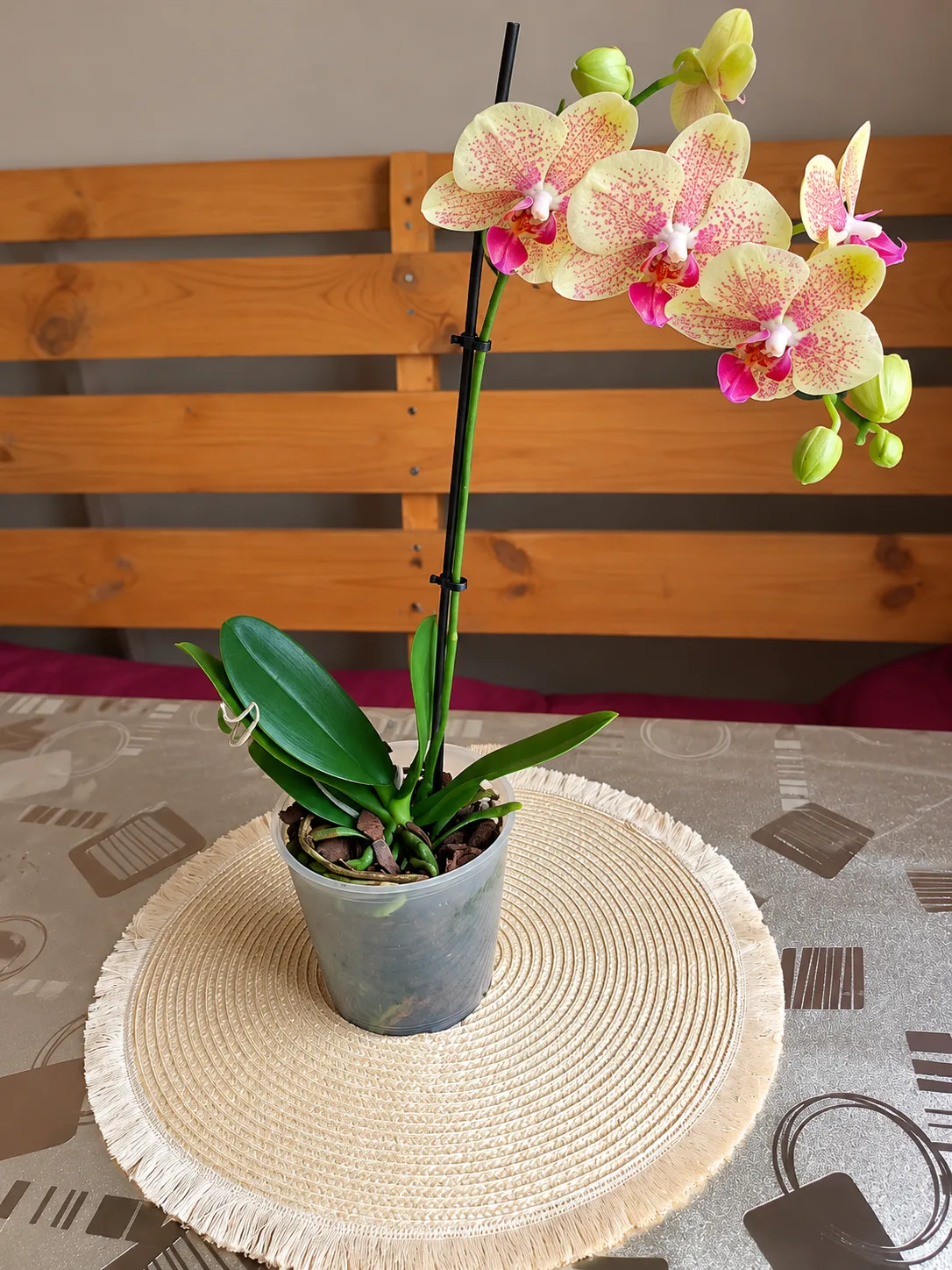 ☀️🌿 Позволь себе жить сегодняшний день, а не готовиться к завтрашнему