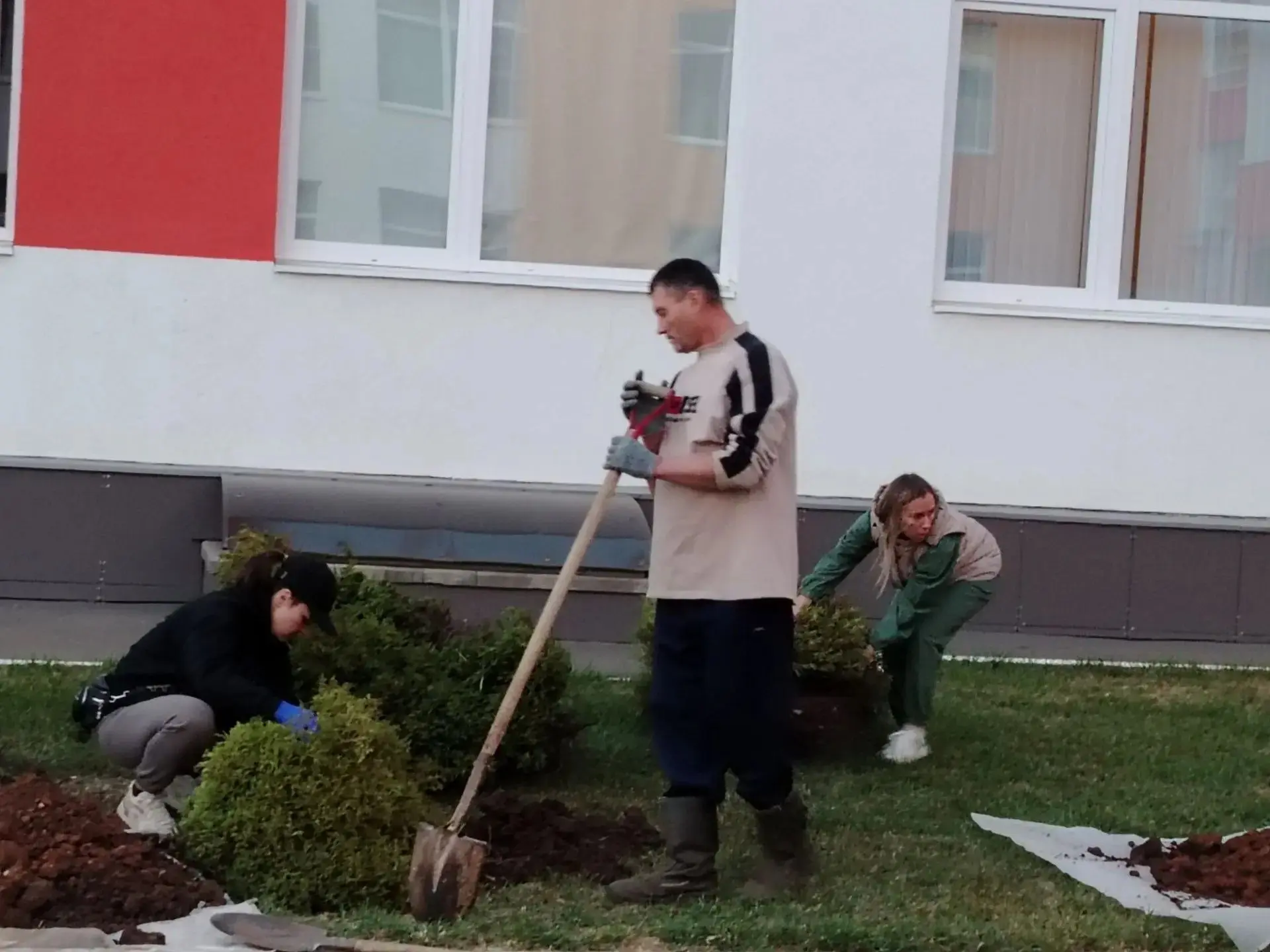 В образовательном комплексе Заречье появилась новая аллея!🌲