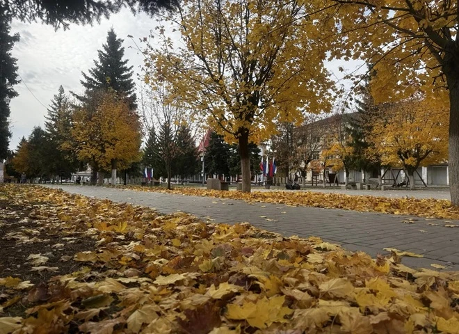 После тёплых выходных с небольшим дождём температура понизится