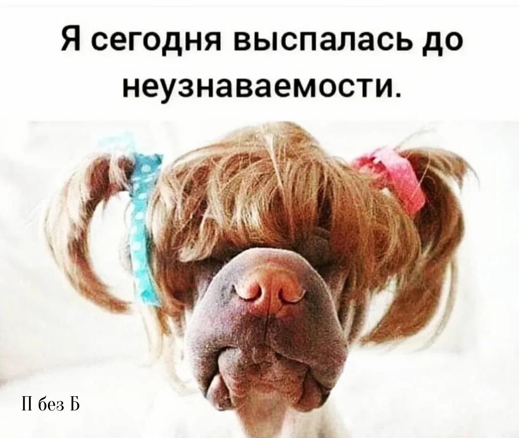 Ну и что, что проспала...