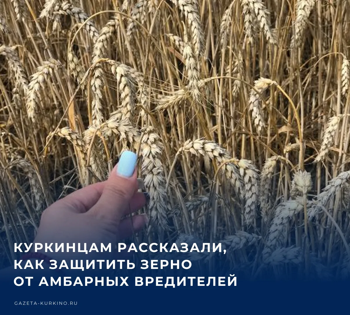 🚜 После завершения уборочной кампании перед аграриями и владельцами личных подсобных х...