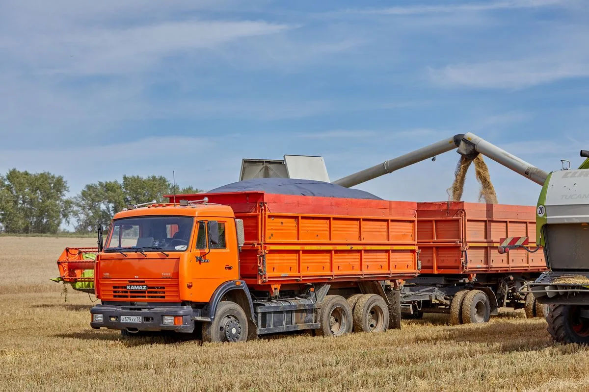Уборочная кампания в Иркутской области выполнена на 80%