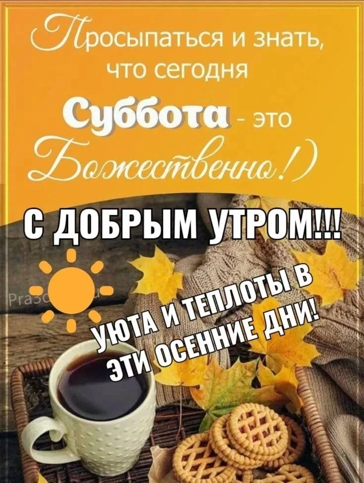 🍁🍂 Суббота - это не просто день недели, это состояние души.