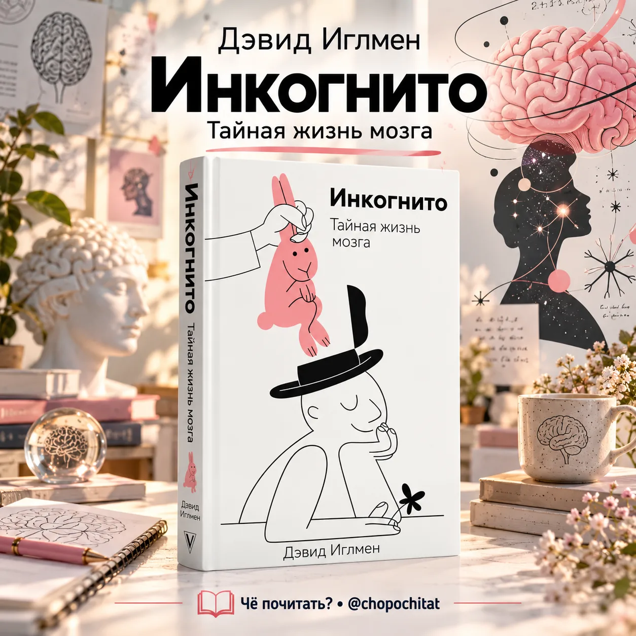 Дэвид Иглмен — «Инкогнито. Тайная жизнь мозга» 🧠