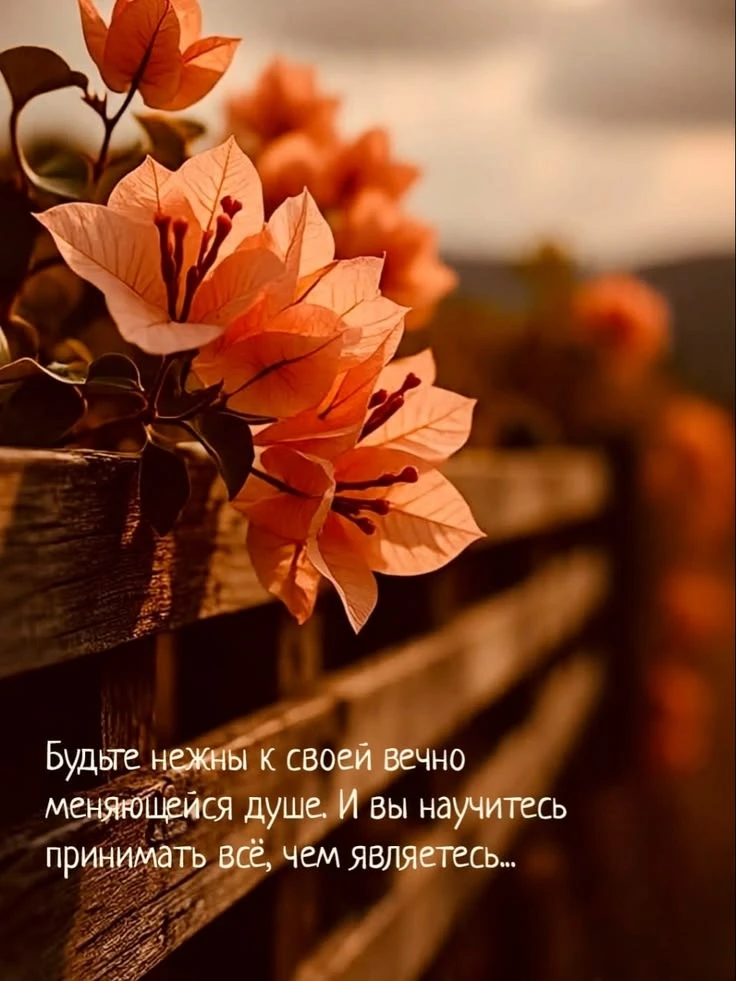 https://max.ru/invista123456