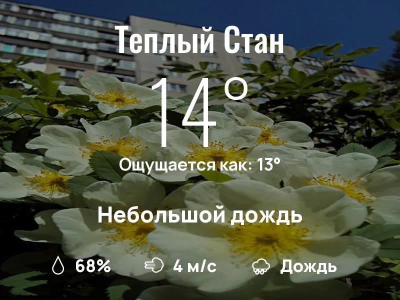 Что с погодой в Теплом Стане?