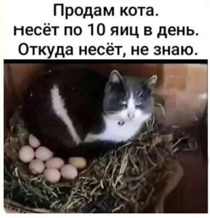 Открытки и приколы 🌸