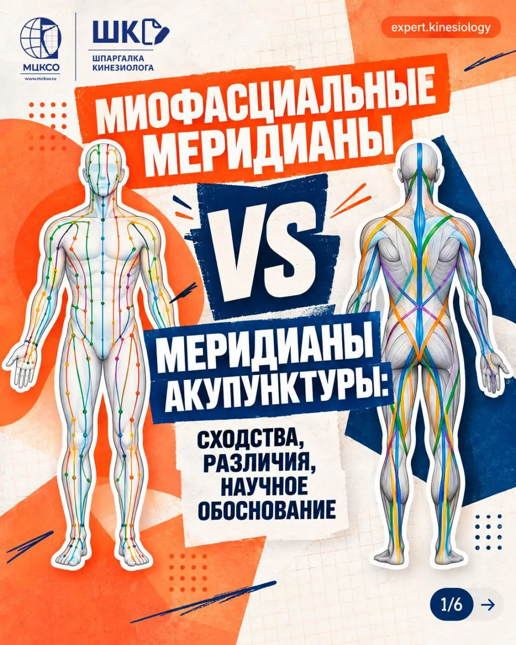Идея о том, что в теле существуют особые линии, влияющие на здоровье, не нова. Тысячеле...