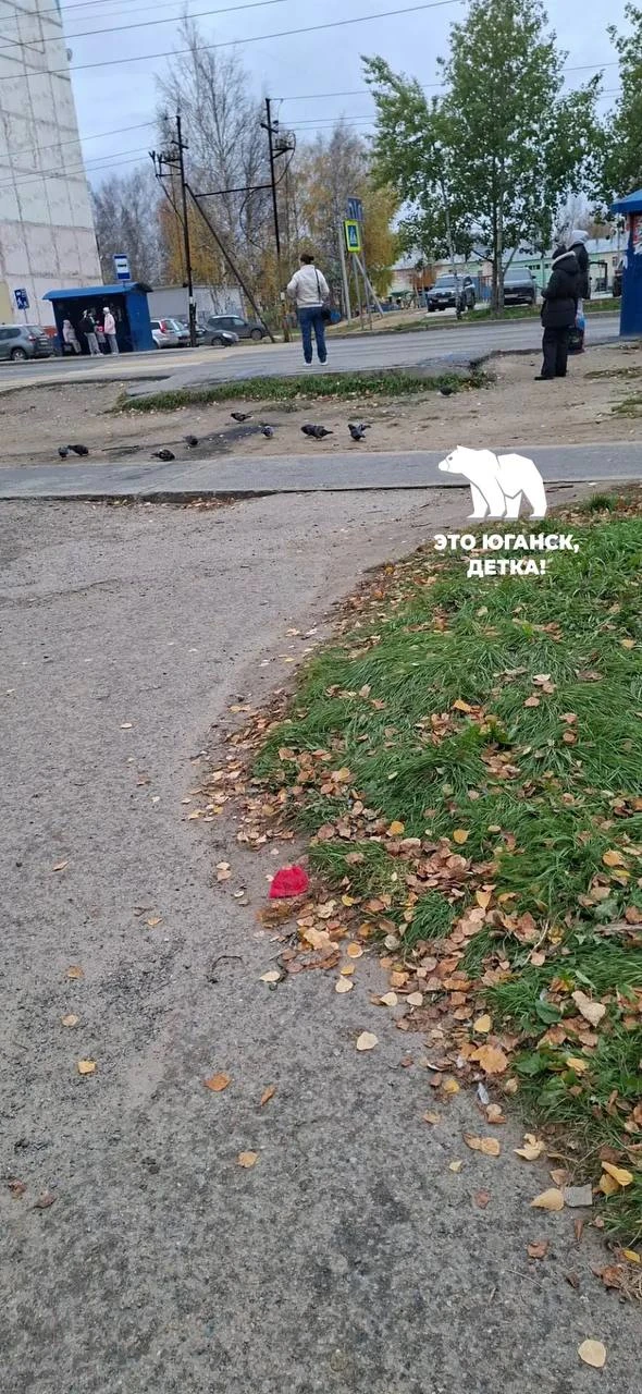 ❓от подписчика