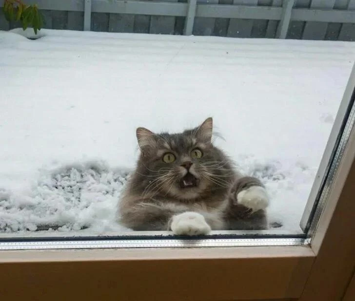 ❄️ Зима будет снежной в Прикамье