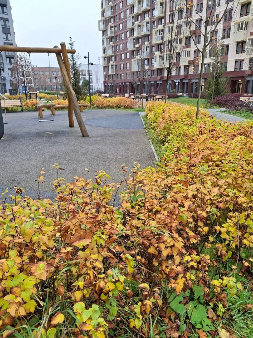 Сколько красок 😍