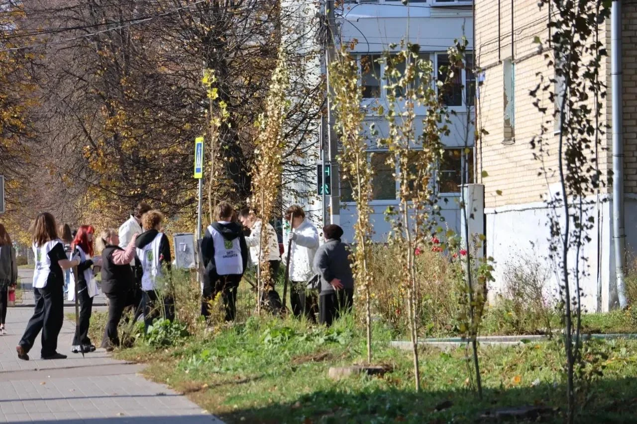 🌳 В Новомосковске высадили 25 новых деревьев
