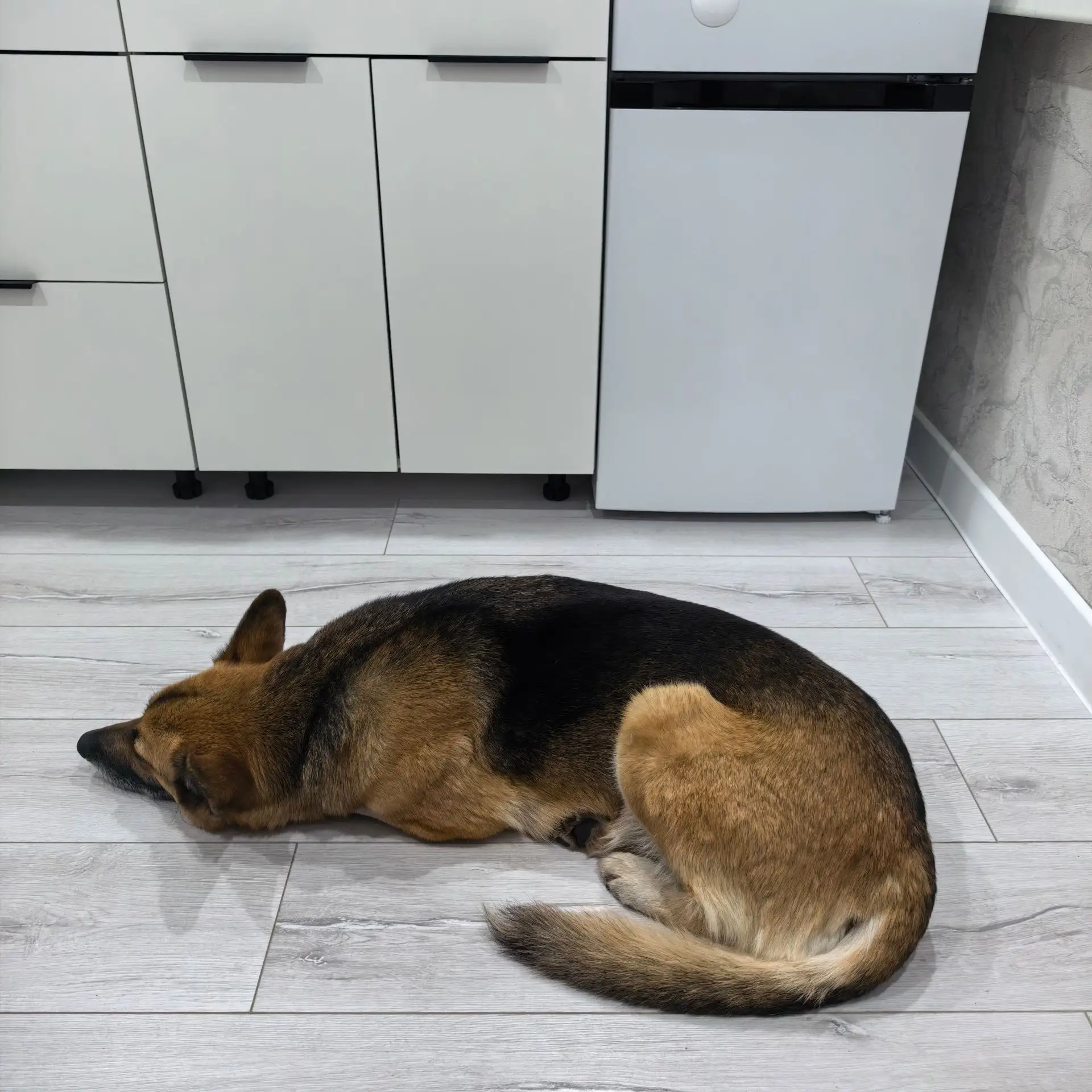 Котёночек уставший.