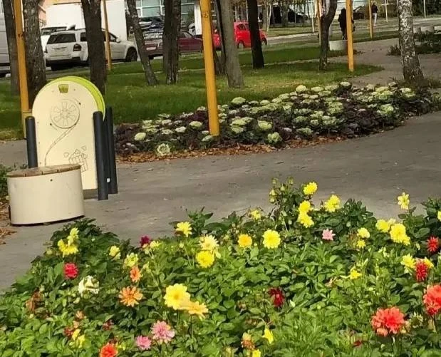 🌿 Яркие клумбы у дорожки во дворе