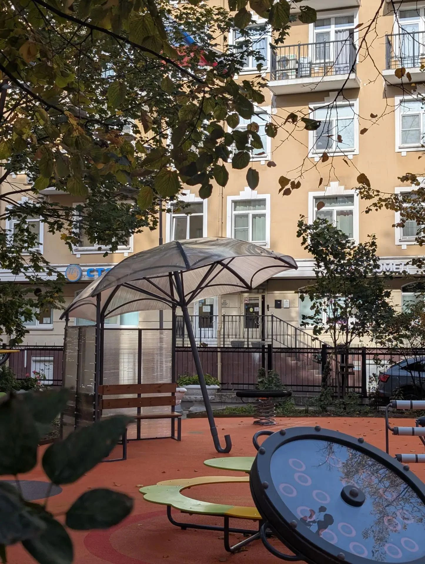 🌼 В Петербург пришло «прабабье лето»