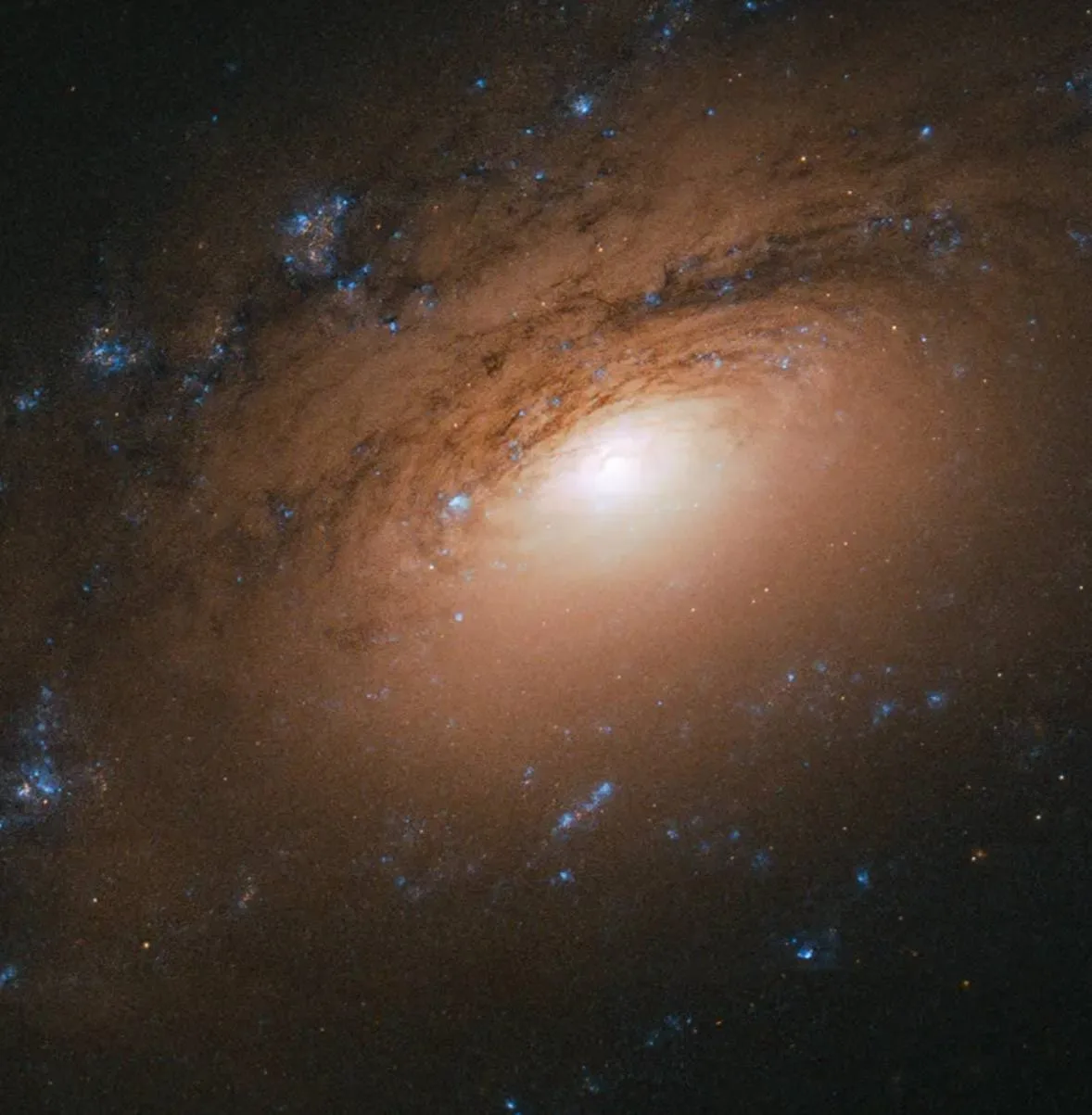 Фотография галактики NGC 3169 от телескопа Хаббл! ✨