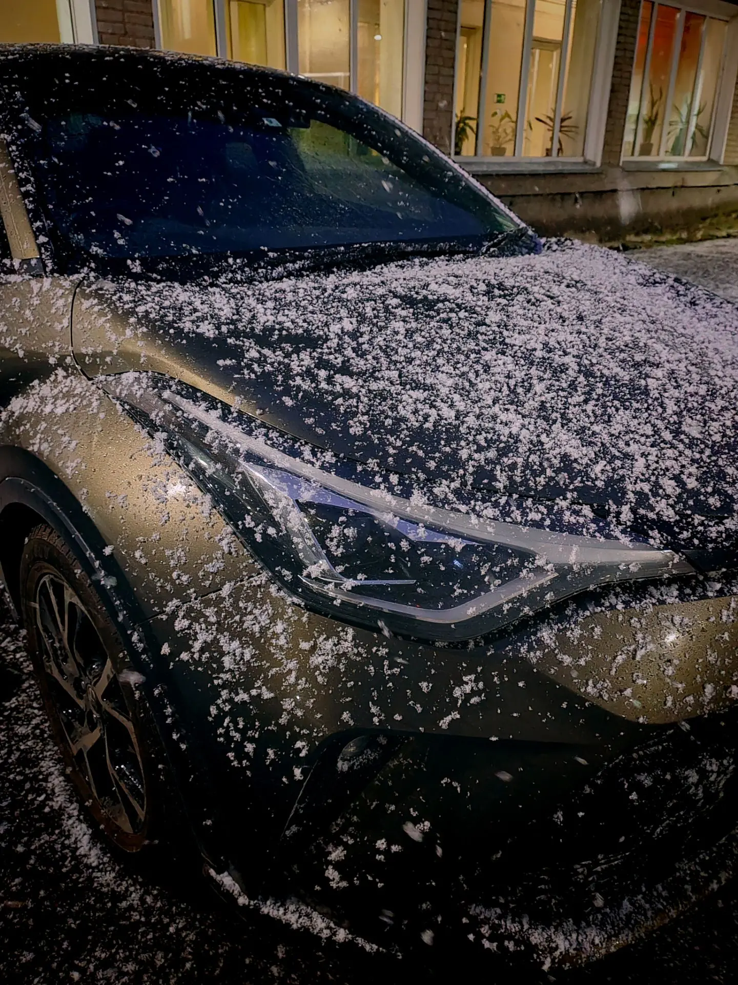 С первым снегом❄️❄️❄️ Я уже переобула эту малышку -)