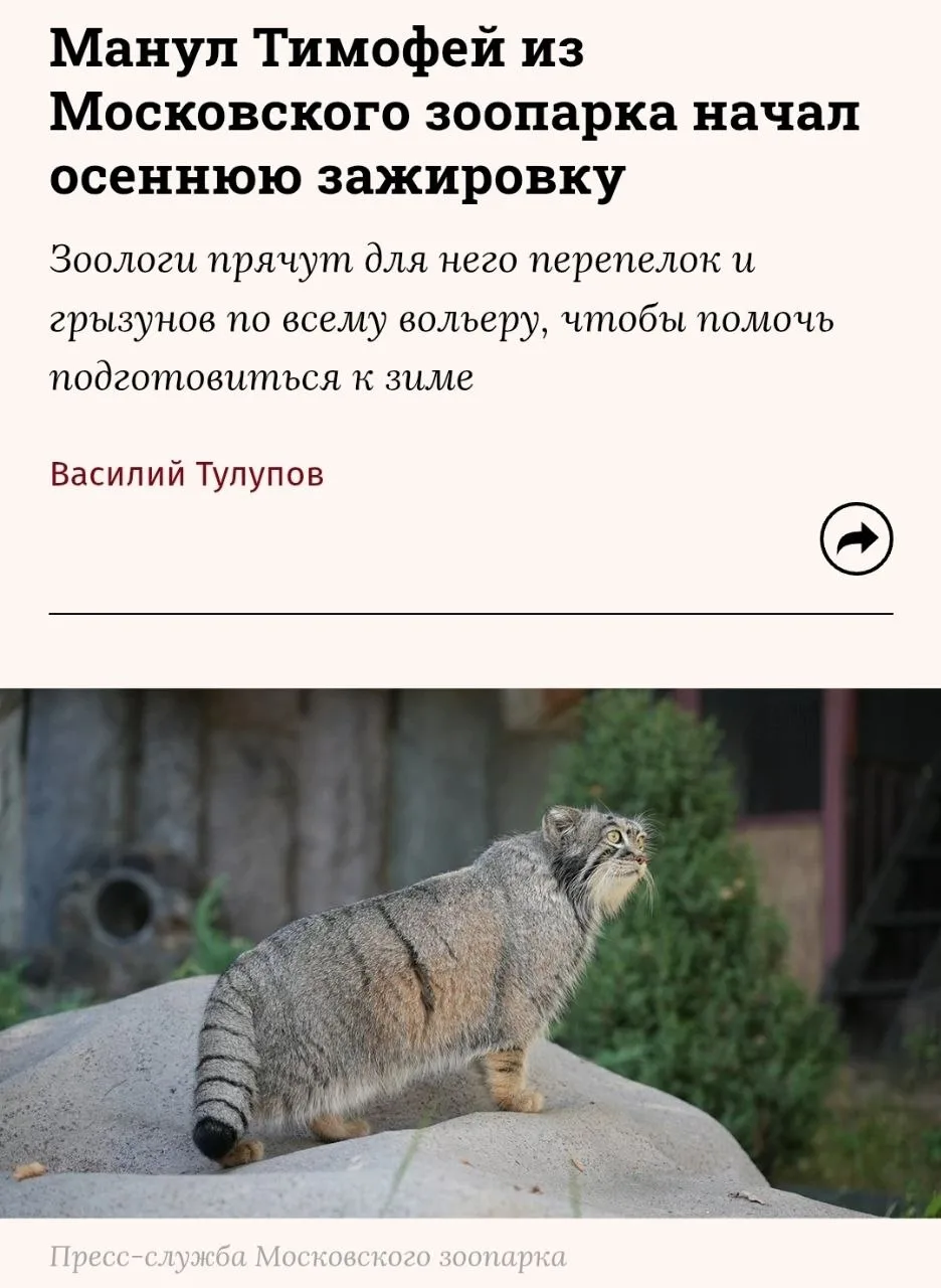 А теперь к действительно важным новостям 😀.