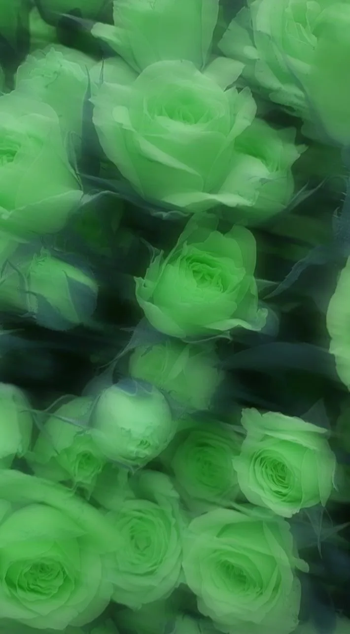 💚 Зелёная эстетика