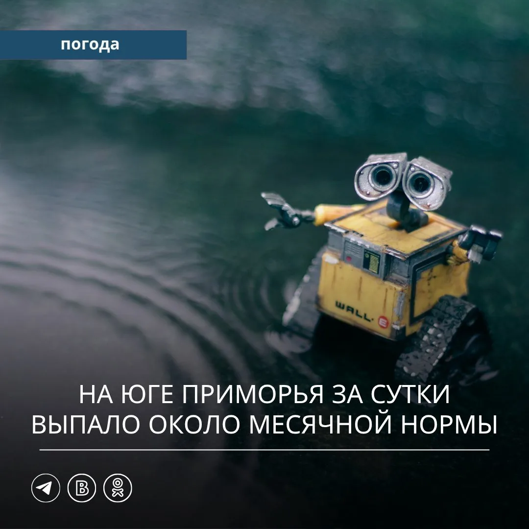 🌀 В прошедшие сутки Приморский край находился под влиянием атмосферных фронтов и углуб...