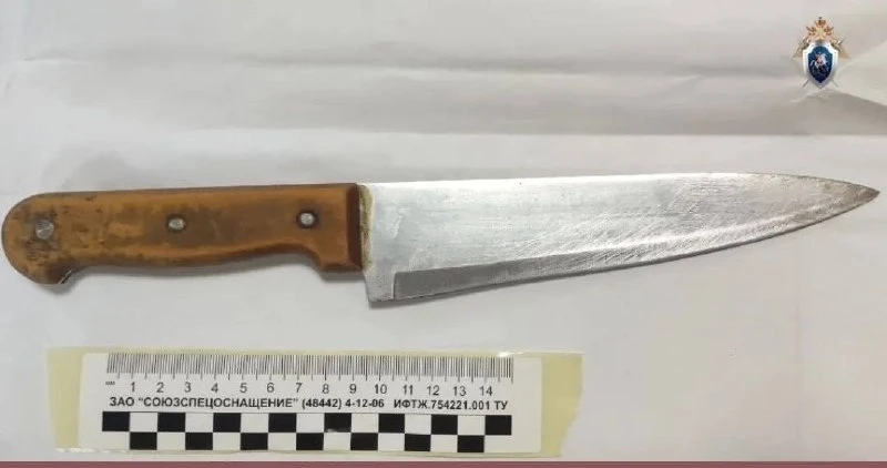 🔪 7,5 года за убийство сожителя получила жительница Афонино.
