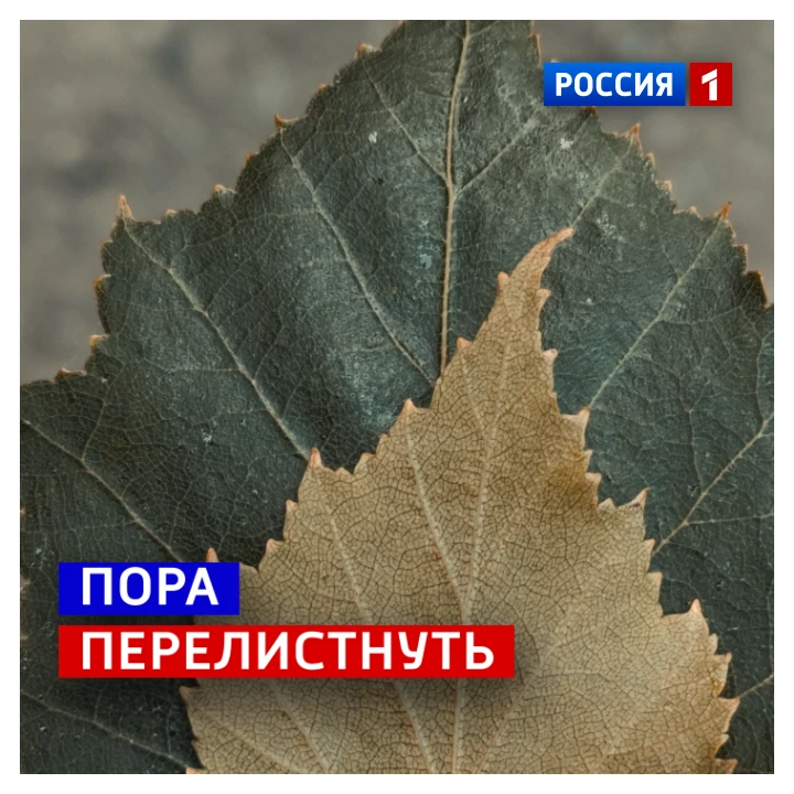 🗓️ 10 октября, суббота
