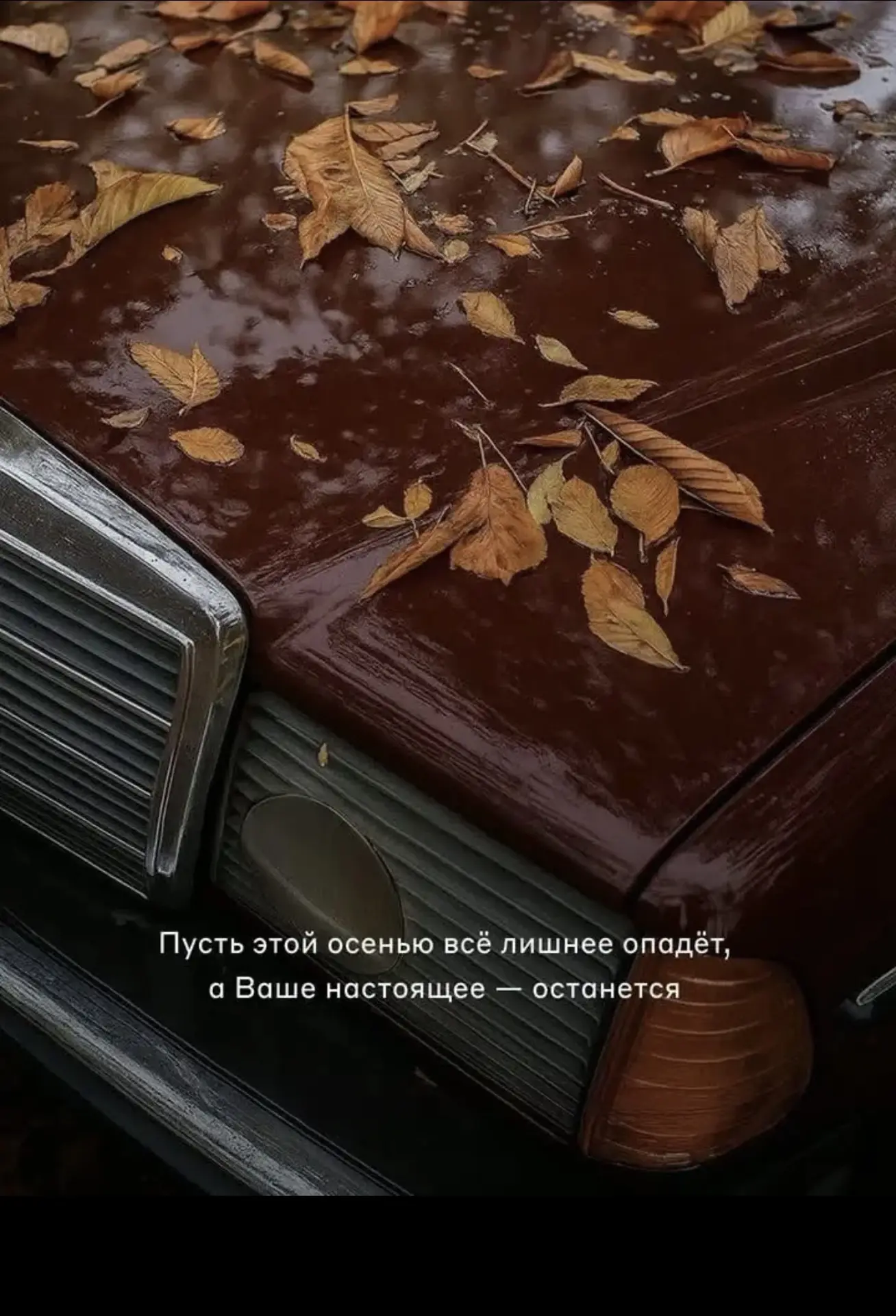 Осень учит нас сбрасывать всё лишнее.