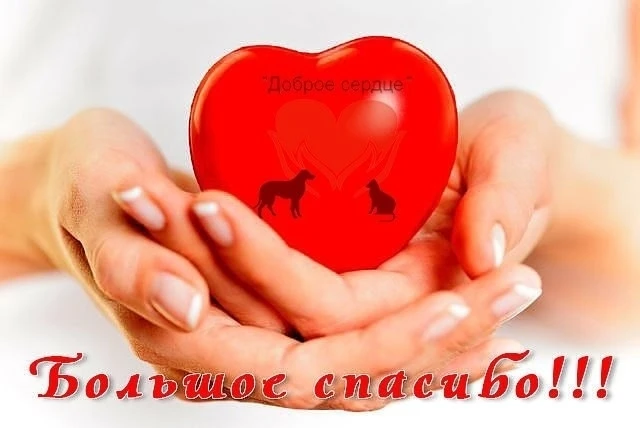 У наших котиков настоящий праздник!