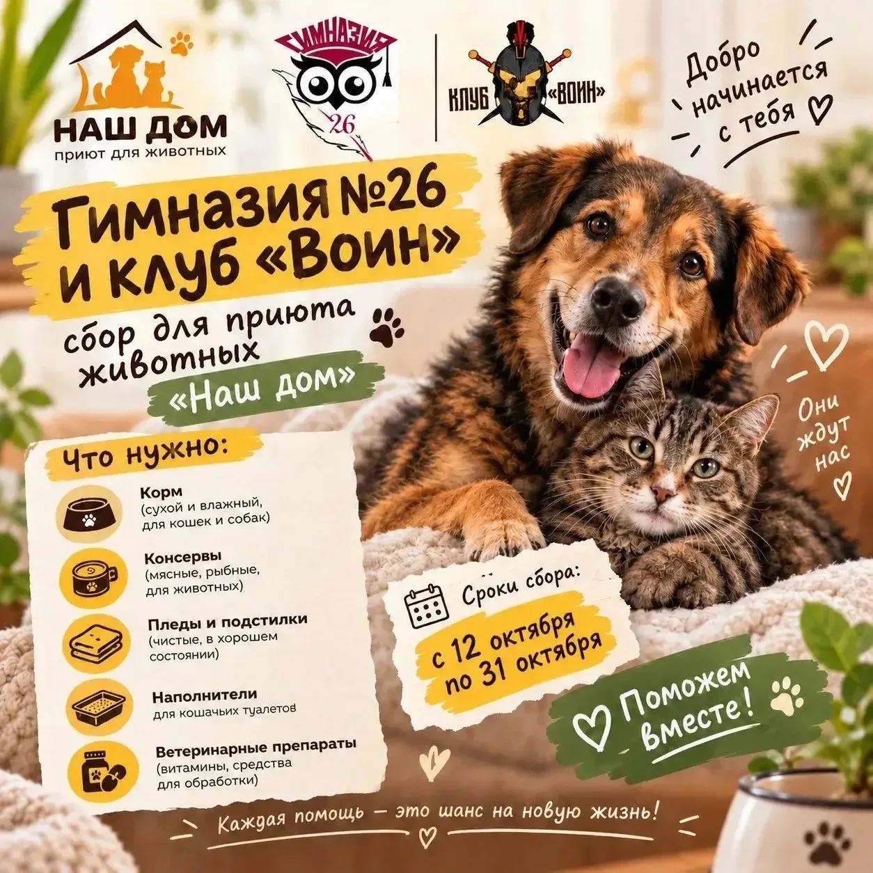 Октябрь добра 🐕 🐈 ♥️