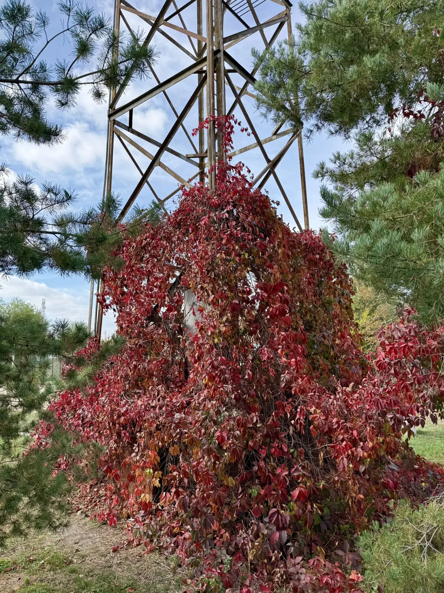 Краски осень 🍂