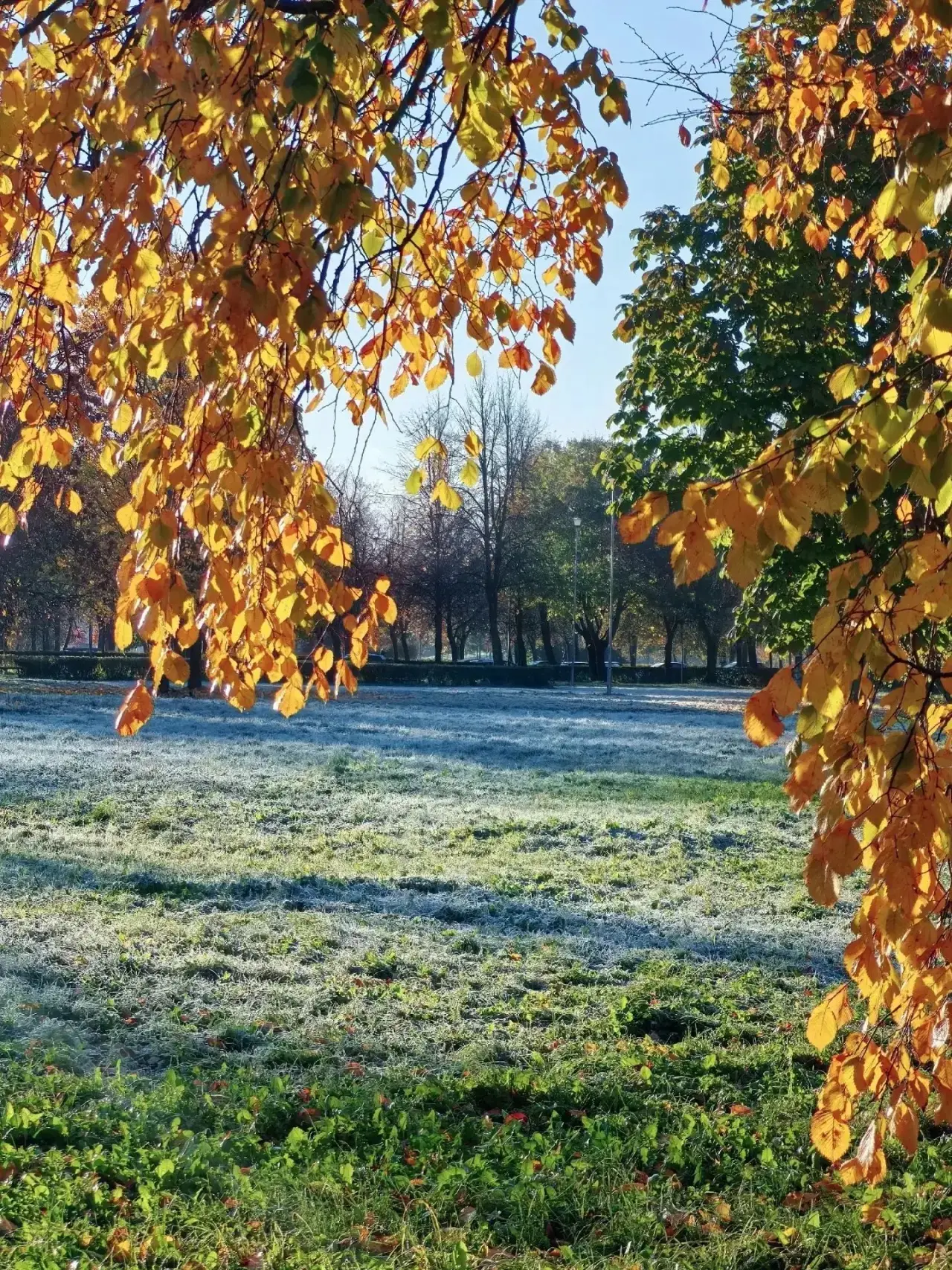 Доброе утро!