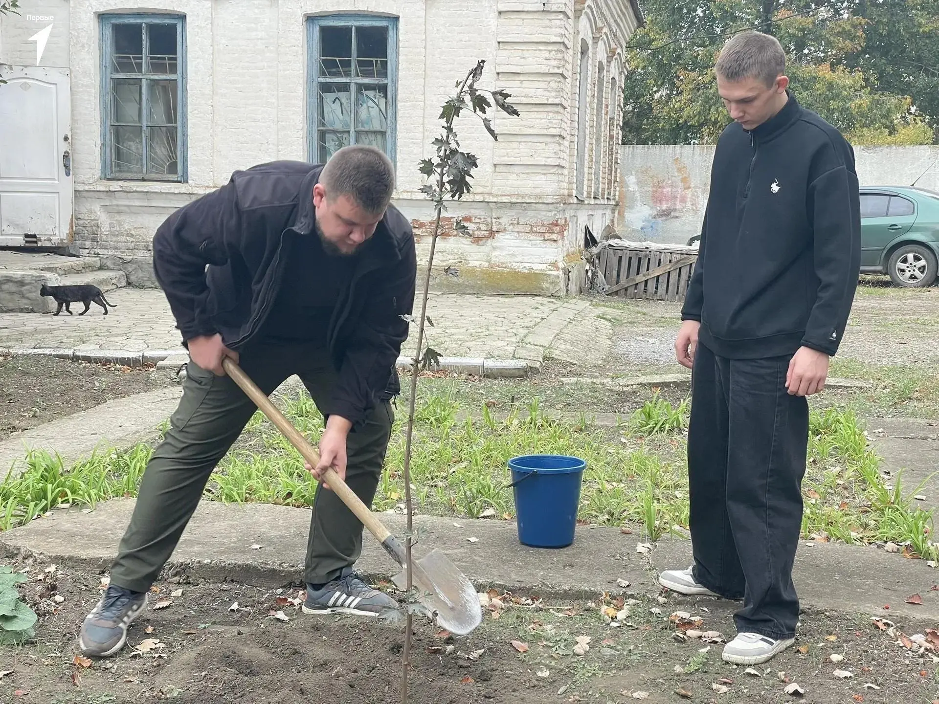 В Докучаевске высадили красные клены памяти